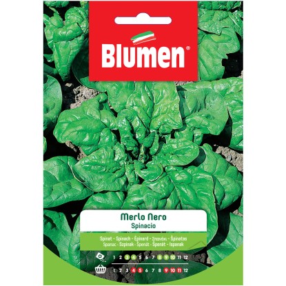 Semi Blumen Spinacio merlo nero 20 g