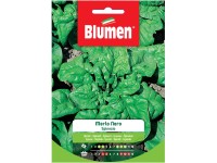 Semi Di Zucchino Genovese Da Fiore - Per Coltivare Fiori Di Zucca In Giardino O Vaso - Foto 9