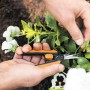 Forbici da giardino Fiskars Microtip SP130 in uso per potare fiori.