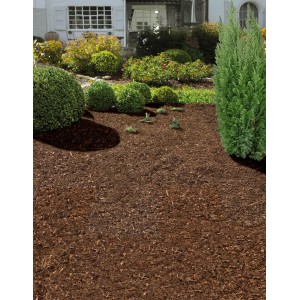 Tessuto nero per il controllo delle erbacce 5x2m posato nell'aiuola come protezione.