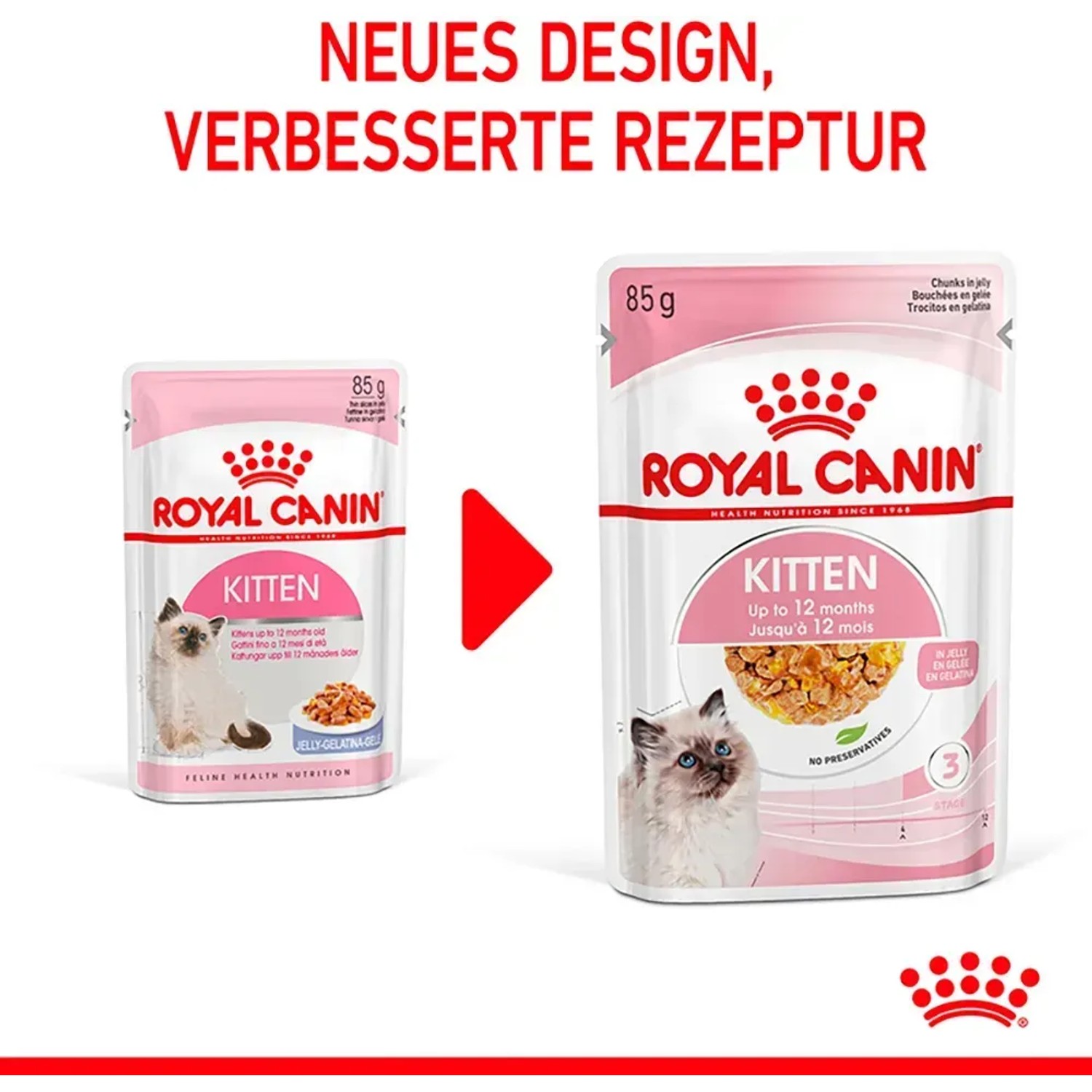 Royal Canin Kitten cibo umido in gelatina, 85g, nuovo design. Alimento per gatti fino a 12 mesi.