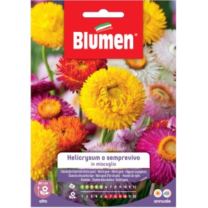 Semi per fiori Helichrysum: Mix di fiori di paglia colorati per aiuole e giardini.