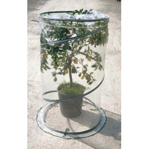 Pianta in serra t.b.t. con protezione trasparente dagli agenti atmosferici.