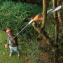Troncarami elettrico Black+Decker PS7525 in uso per tagliare rami.