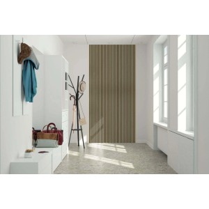 Corridoio con pannello a parete t.b.t. effetto legno, guardaroba e finestra.