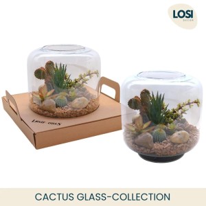 Composizione piante grasse media Ø 18 cm