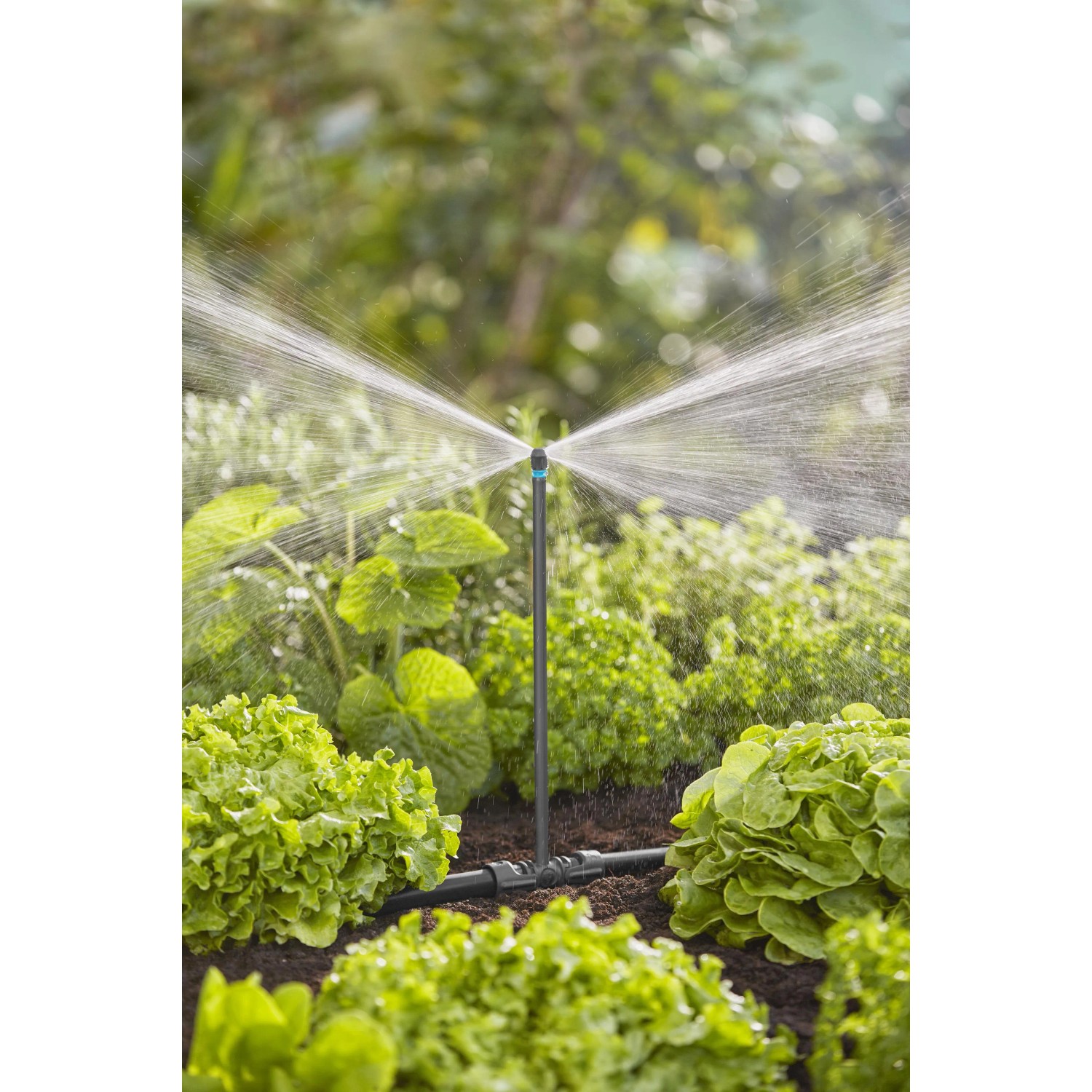 Irrigazione con irrigatori t.b.t. in giardino. Raccordi irrigazione per un'irrigazione ottimale del giardino.