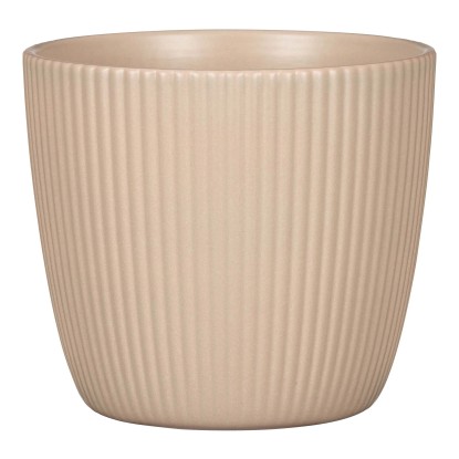 Coprivaso Scheurich 11,6x14,1 cm Dry Reed