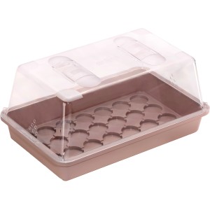 Vassoio universale per semina color tortora con coperchio trasparente, 38x24x6 cm, per la propagazione delle piante.