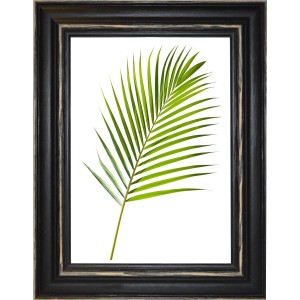 Cornice nera con motivo a foglia, categoria: Cornici.