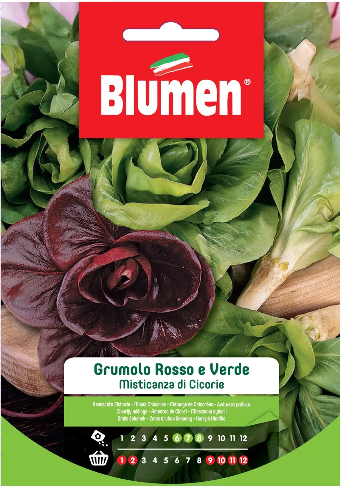 1000 Semi Di Cicoria A Grumolo Verde | Semi Ortaggi Italiani Da Interno/esterno
