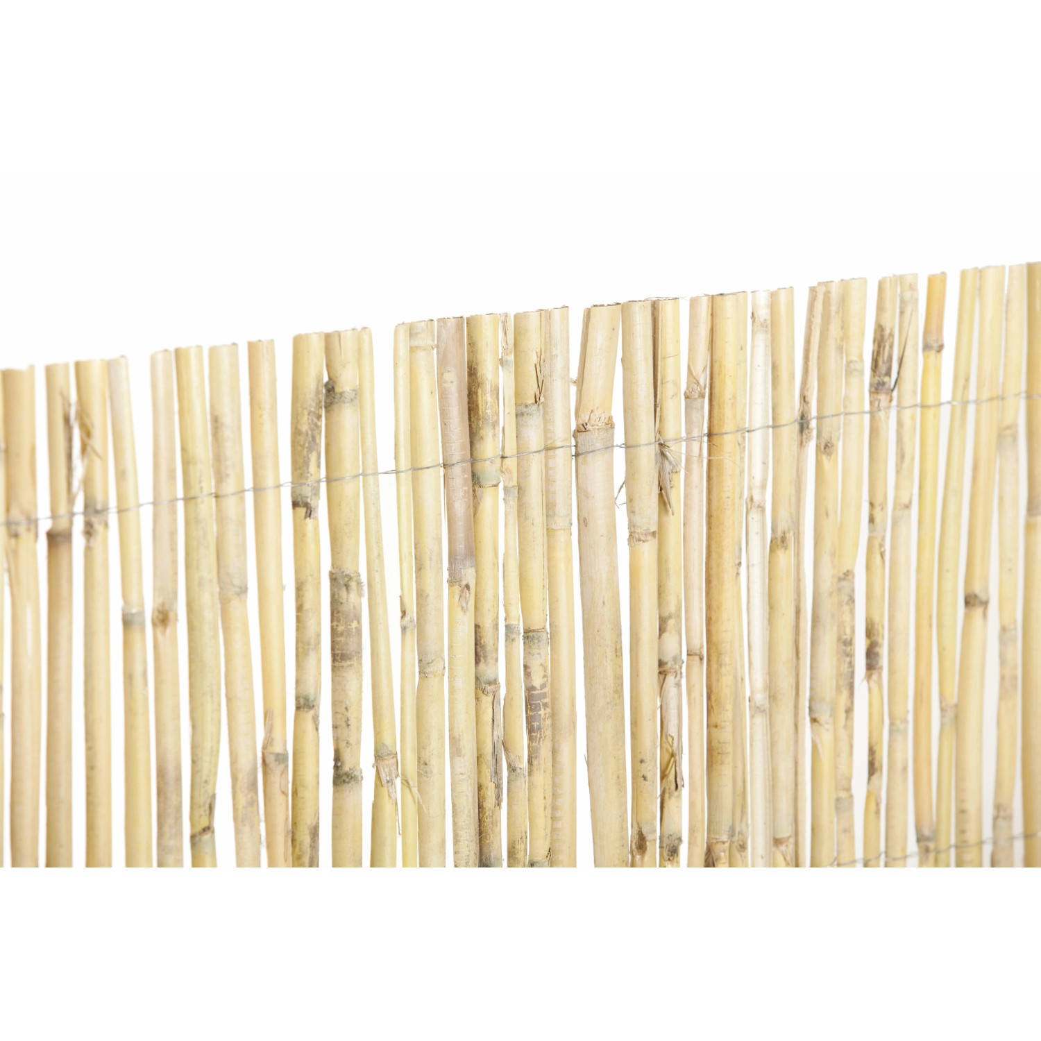 049897 Arella bamboo resistente alle intemperie e paravento 150 x 300