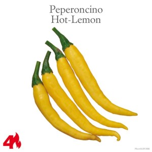 Frutti gialli di Peperoncino Hot-Lemon, Ortaggi da frutto.