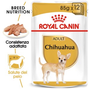 Royal Canin Chihuahua Adult cibo umido per cani, busta da 85g per Chihuahua adulti.