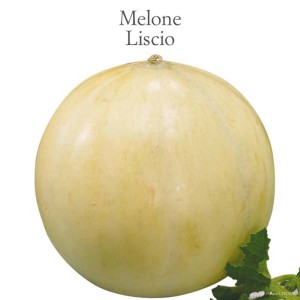 Melone 'Liscio' chiaro e rotondo della categoria Ortaggi da frutto.