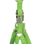 Pettorina verde per cani di piccola taglia.