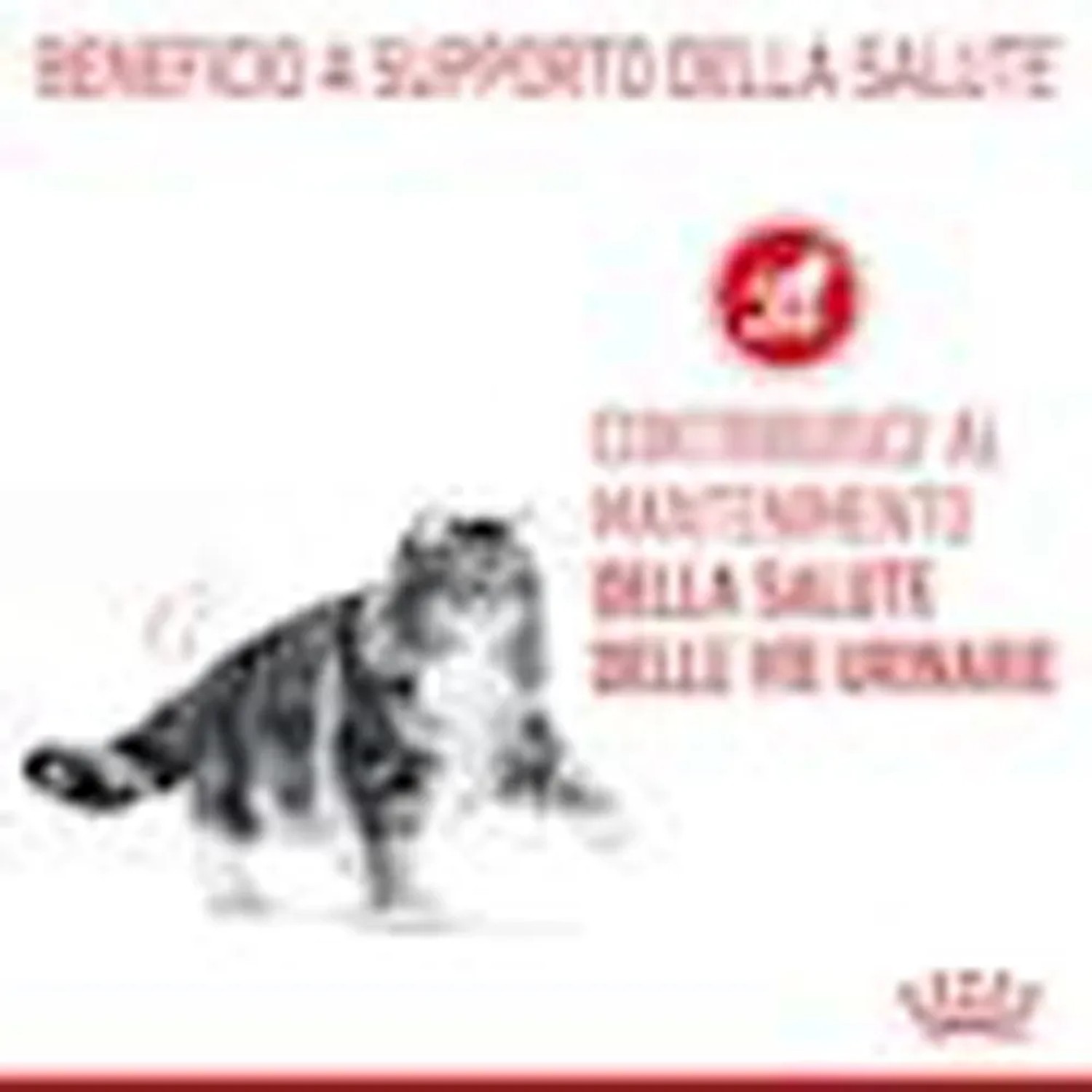 Cibo secco per gatti, supporta la salute delle vie urinarie.