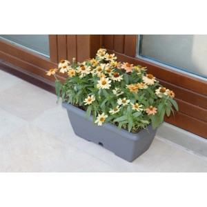 Cassetta Terrae con sottocassetta in plastica 40x20x16,7 cm grigio fumo