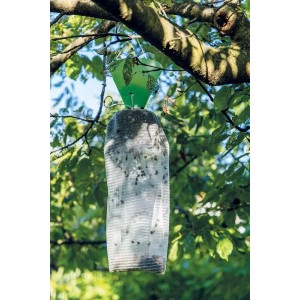 Trappola per Popillia Japonica