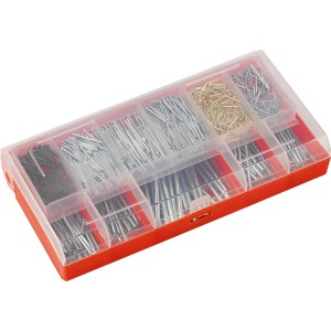 Assortimento di chiodi con diversi tipi e dimensioni in una scatola di immagazzinaggio rossa.