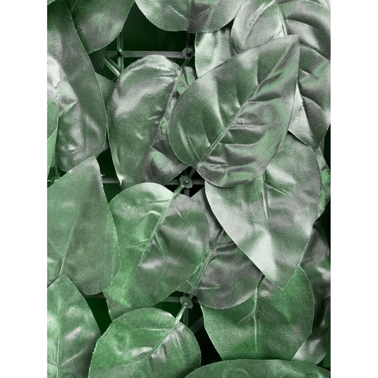 Foglie verdi di una siepe artificiale come frangivista.