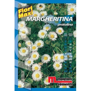Confezione di semi di margherita 'Margheritina pratolina' per prati fioriti colorati.