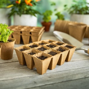 Vaso angolare per germogli 4x4 cm 36 pz