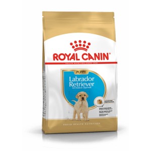 Royal Canin Labrador Retriever Puppy cibo secco per cuccioli.
