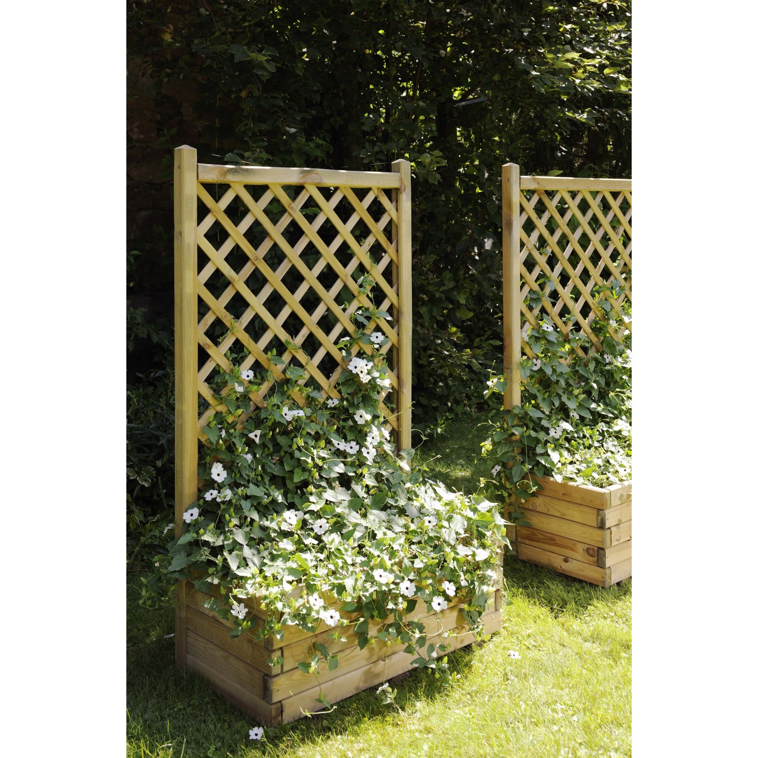 Fioriera in legno con grigliato, piantata con fiori bianchi, per esterni.