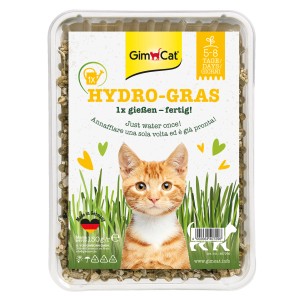 t.b.t. Hydro-Gras erba gatta in kit di coltivazione, ideale per gatti d'appartamento.