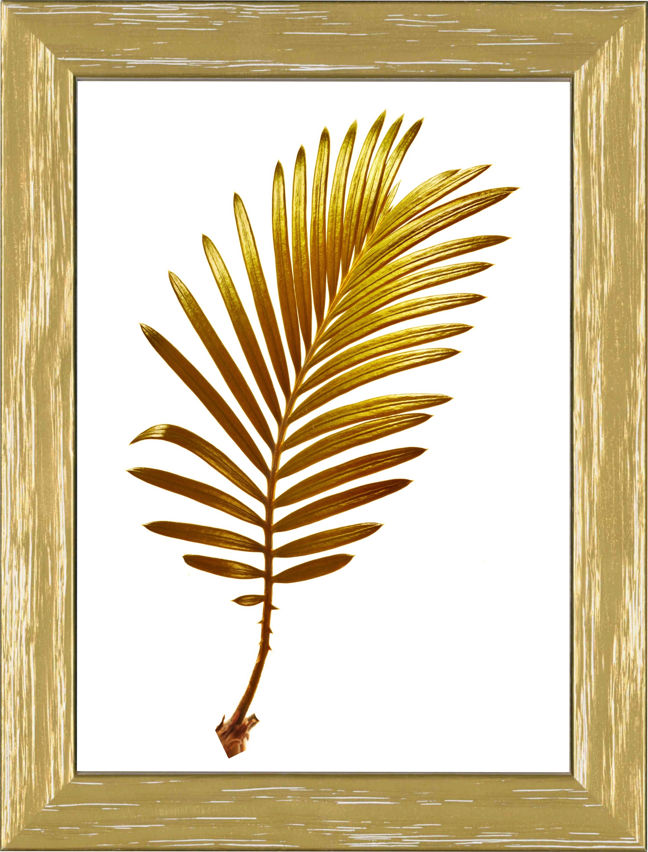 Cornice da muro Elegant Oro 21x29,7 cm (A4)