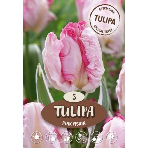 Dettaglio di Tulipano pappagallo Pink Vision con petali rosa e bianchi.