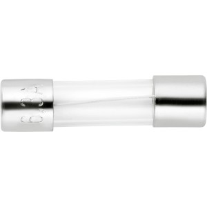 Fusibile ritardato 6,3 A, confezione da 2, con tubo di vetro e terminali argentati.