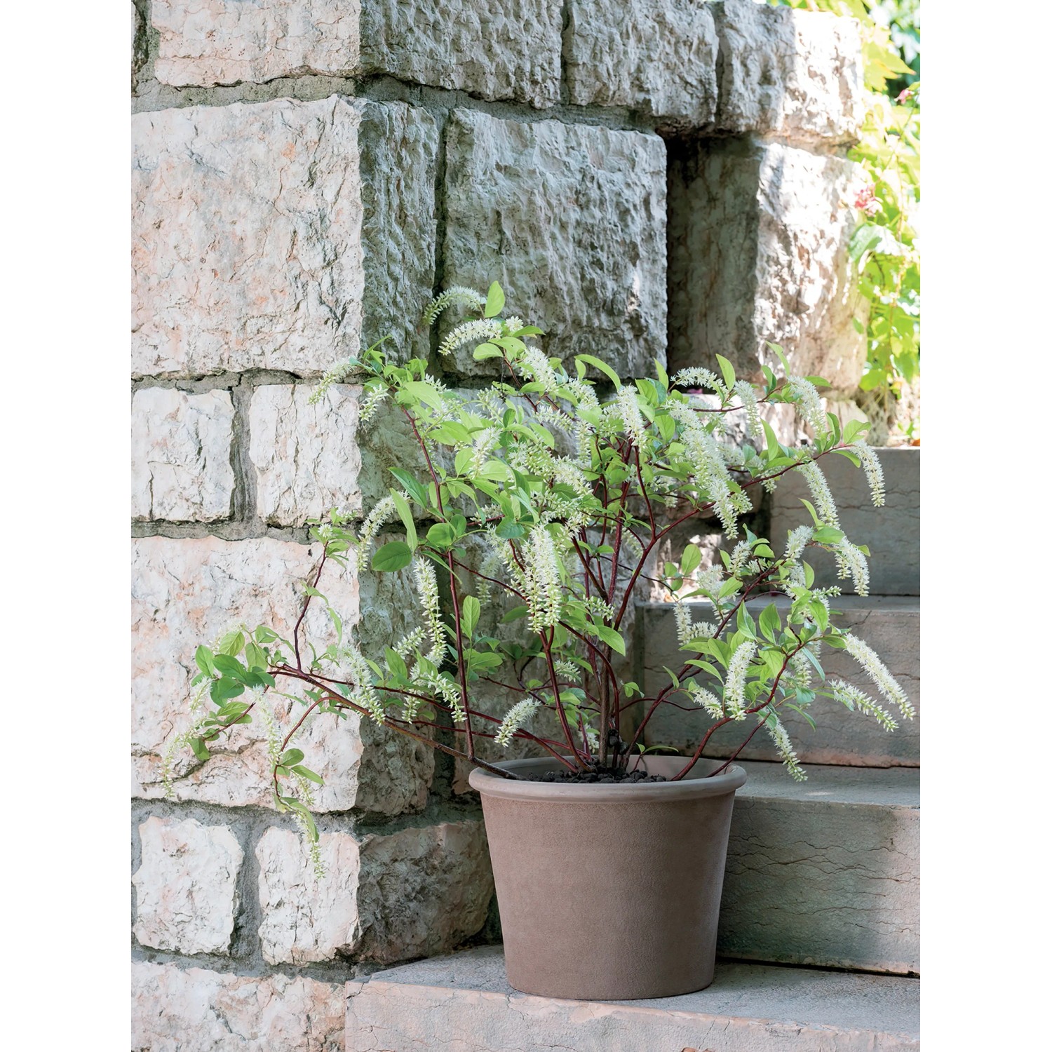 Vaso per piante Deroma Cilindro Primitivo Ø 33 cm grafite_2