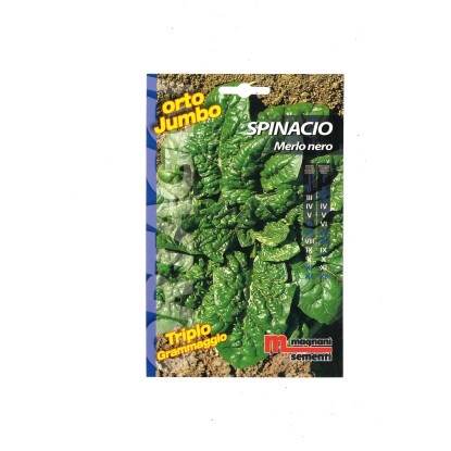 Semi orto Jumbo Spinacio Merlo Nero