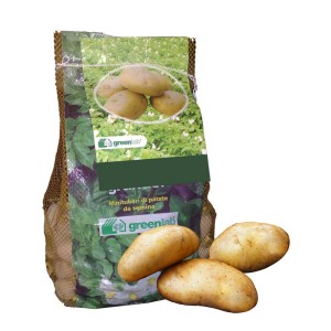 Sacco di patate da semina, patate gialle, patate da semina per l'orto.