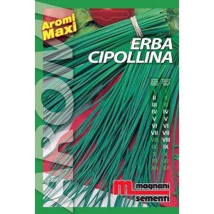 Confezione di semi di erba cipollina 'Aromi Maxi' di Magnani Sementi.