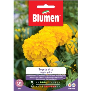 Confezione di semi di Tagetes alto 'doppio giallo' con fiori gialli, ideale per aiuole.
