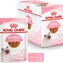 Royal Canin Kitten cibo umido in salsa, confezione da 12 x 85g per gattini fino a 12 mesi.