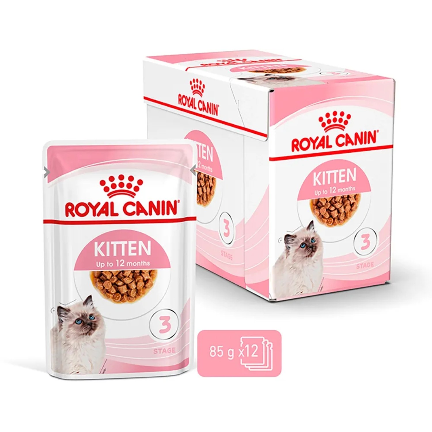 Royal Canin Kitten cibo umido in salsa, confezione da 12 x 85g per gattini fino a 12 mesi.