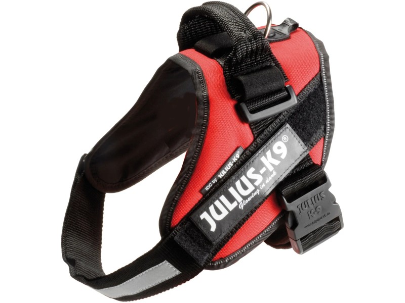 La Frittura Perfetta: Trucchi E Consigli Per Friggere A - Foto 6