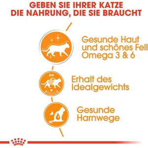 Royal Canin Hair & Skin Care alimento umido per gatti, icone per pelle, pelo, peso e tratto urinario.