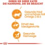 Royal Canin Hair & Skin Care alimento umido per gatti, icone per pelle, pelo, peso e tratto urinario.