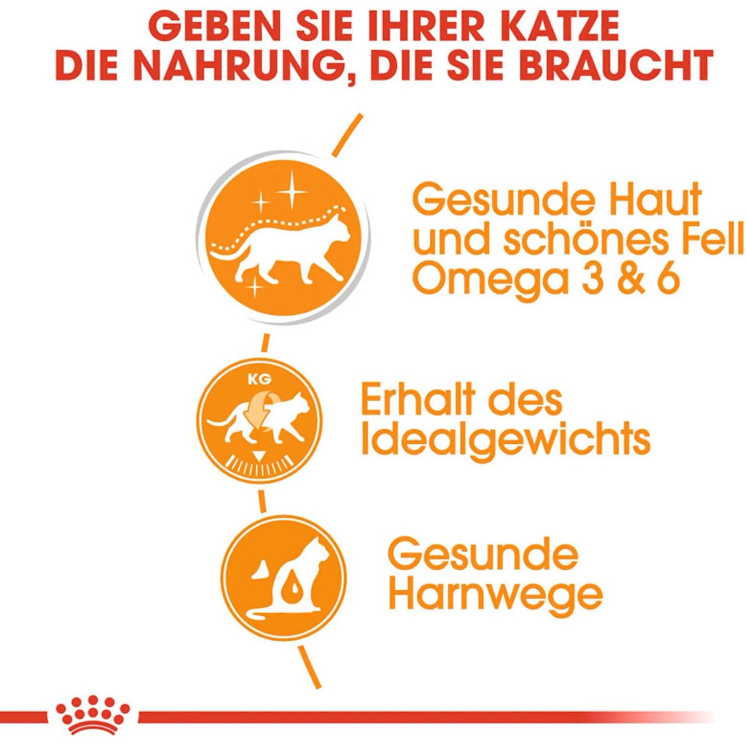 Royal Canin Hair & Skin Care alimento umido per gatti, icone per pelle, pelo, peso e tratto urinario.