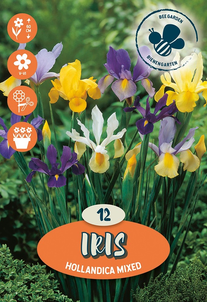 Bulbi da fiore Iris Mixed OBI