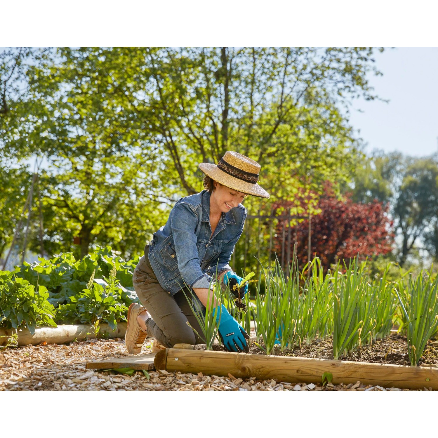 Donna che pianta in giardino con guanti Gardena per piantare e terreno 10/XL.