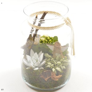 t.b.t. Composizione di piante in vetro con succulenta, muschio e angioletto decorativo.