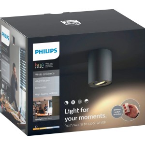 Confezione della lampada da soffitto Philips Hue Pillar per il controllo della luce tramite app.