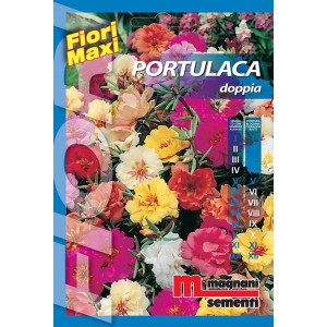 Confezione di semi Portulaca 'Doppia' di Magnani Sementi, ideale per fiori estivi colorati.
