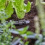 Irrigazione a goccia di t.b.t. nell'aiuola, parte di Microirrigazione.